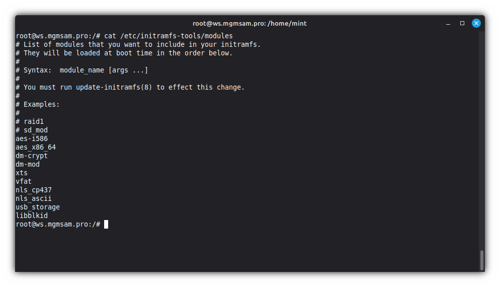 initramfs modules