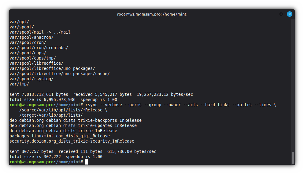 rsync expert